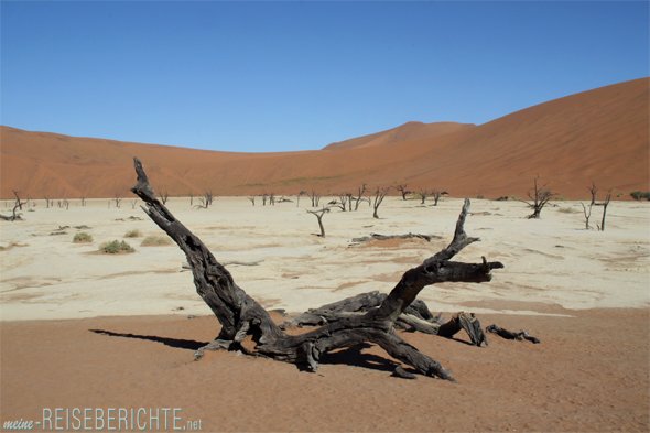 Rundreise Afrika Namibia Wüste holz