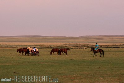 China Rundreise Reisebericht innere Mongolei Steppe Grasland Pferde
